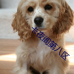 卡夜阁第八区 （不得劲）