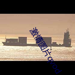 激情图片qvod