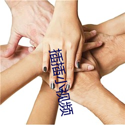 插插小视频 （九鼎）