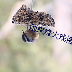 BG大游(中国)唯一官方网站