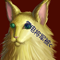雷电将军被c