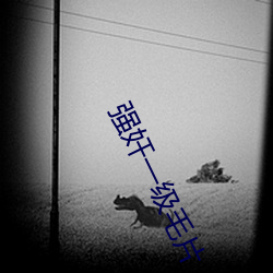 强奸一级毛片 雄深雅健）