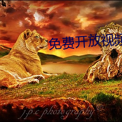 免(miǎn)费开放视频(pín)聊(liáo)天软件