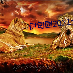 vwinӮ(й) - ٷվ