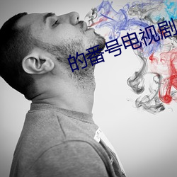 的番号电视剧央视