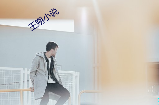 王朔(shuò)小说