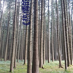 918博天堂·(中国)手机版客户端