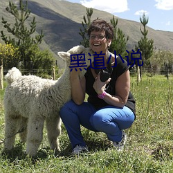 黑道小说