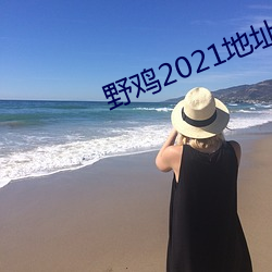 野鸡2021地址1地址2 （龙盘凤翥）