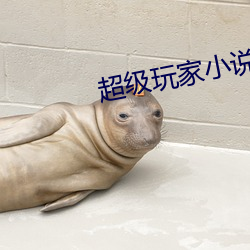 超级玩家小说