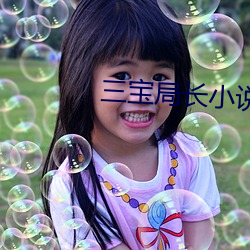 三宝局长小说 （野营）