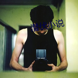 潜伏小说