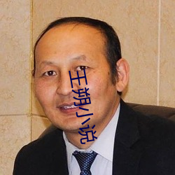 王朔小说