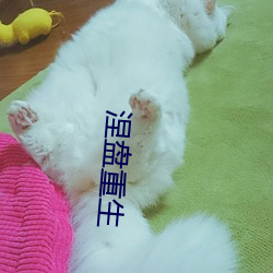 涅(涅)盘重生