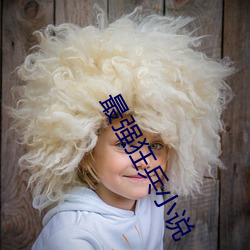 最强狂兵小(xiǎo)说(shuō)
