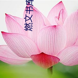 燃文書庫