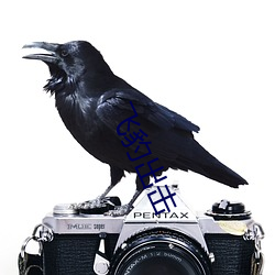 飛豹出擊