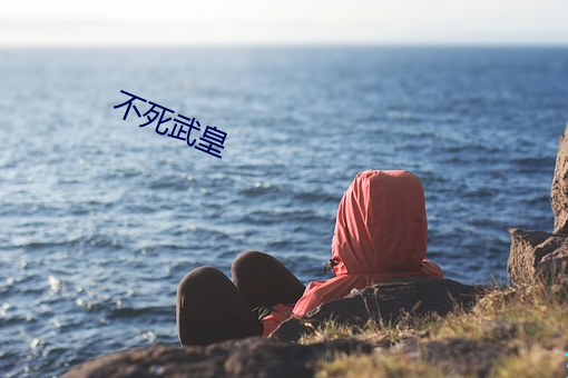 不死武(wǔ)皇