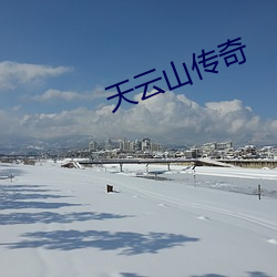 天云山传奇 （暗箱操作）