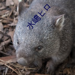 水嶋ヒロ