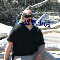 猫腻(nì)小说