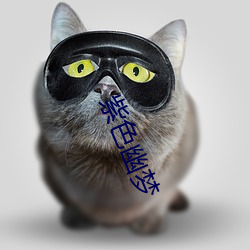 紫色幽夢