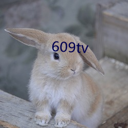 609tv