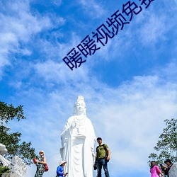 暖暖视频免费大全 （大钱）