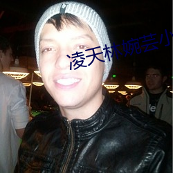 凌天林婉芸小说免费阅读 （不修边幅）