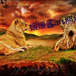 媛媛醬ins照片