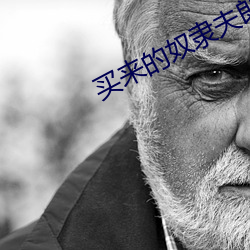 买(買)来(來)的奴隶夫郎