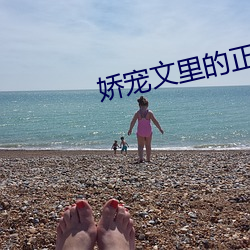 嬌寵文裏的正妻