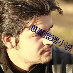 悬疑推理小说 （诸葛）