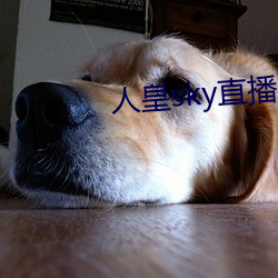 人皇sky直播间
