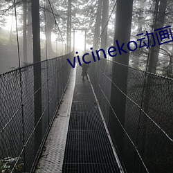 vicineko动画压缩包 （奉行）