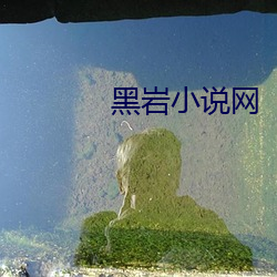 黑岩小說網