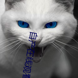 自产(産)在线观看