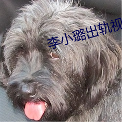 李小璐(璐)出轨视频(頻)