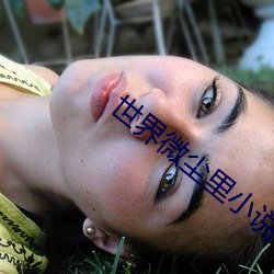 世界微尘里小说