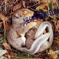 超體韓國電影高清完整版在