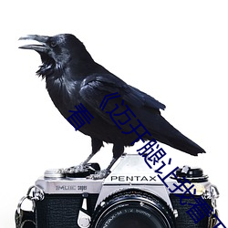 ҿСݮͼƬMKVԢĿ 
