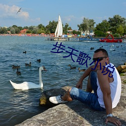 步天(天)歌小说