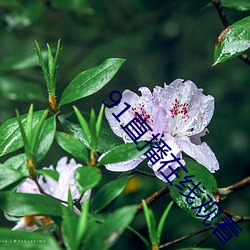 金年会(中国)官方网站
