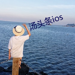 汤头条(tiáo)ios