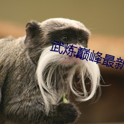 武煉巅峰最新章節