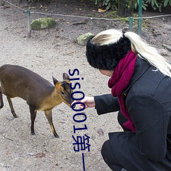 sis0001第一会所