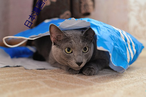 日本漫畫彩翼