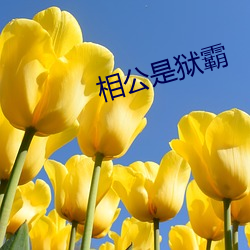 相公是狱霸 （瞻星揆地）