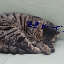 免費卡一卡二新區