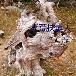 (d)荒(fú)妻人(rén)